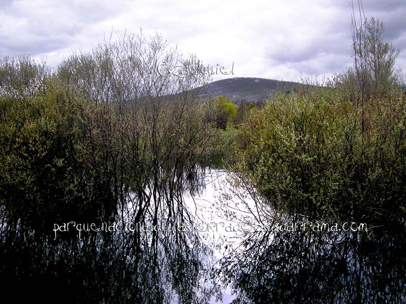 becerril_collado_mediano_31