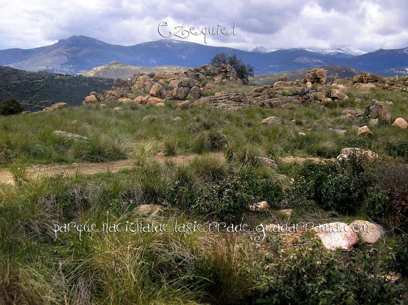 becerril_collado_mediano_60