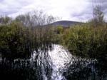 becerril_collado_mediano_31