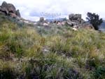 becerril_collado_mediano_54